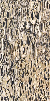 GHEPARD6 12LP.jpg